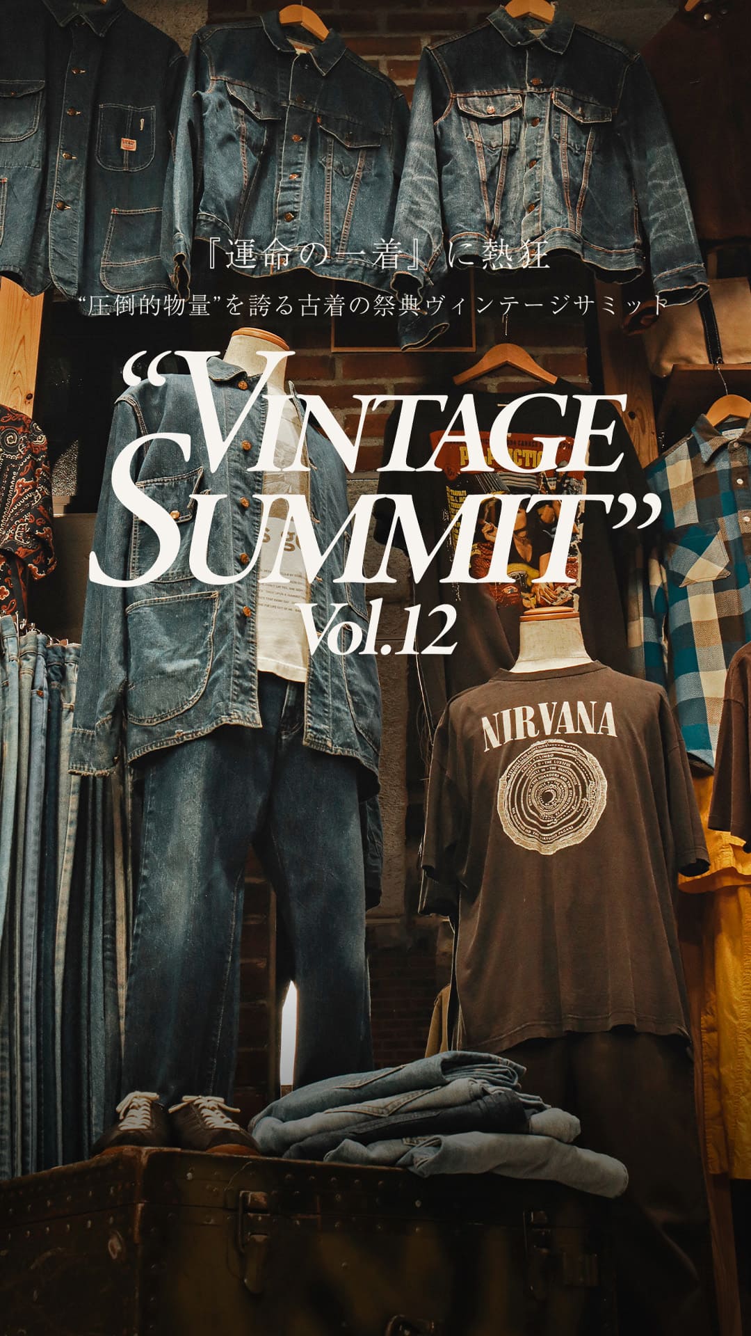 VINTAGE SUMMIT Vol.11