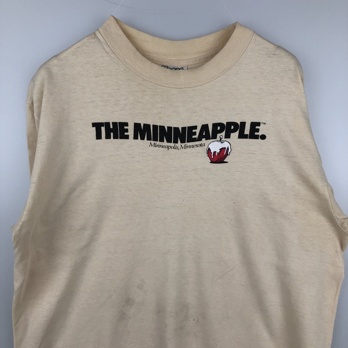 古着 80年代 ヘインズ Hanes BEEFY-T プリントTシャツ USA製 メンズL