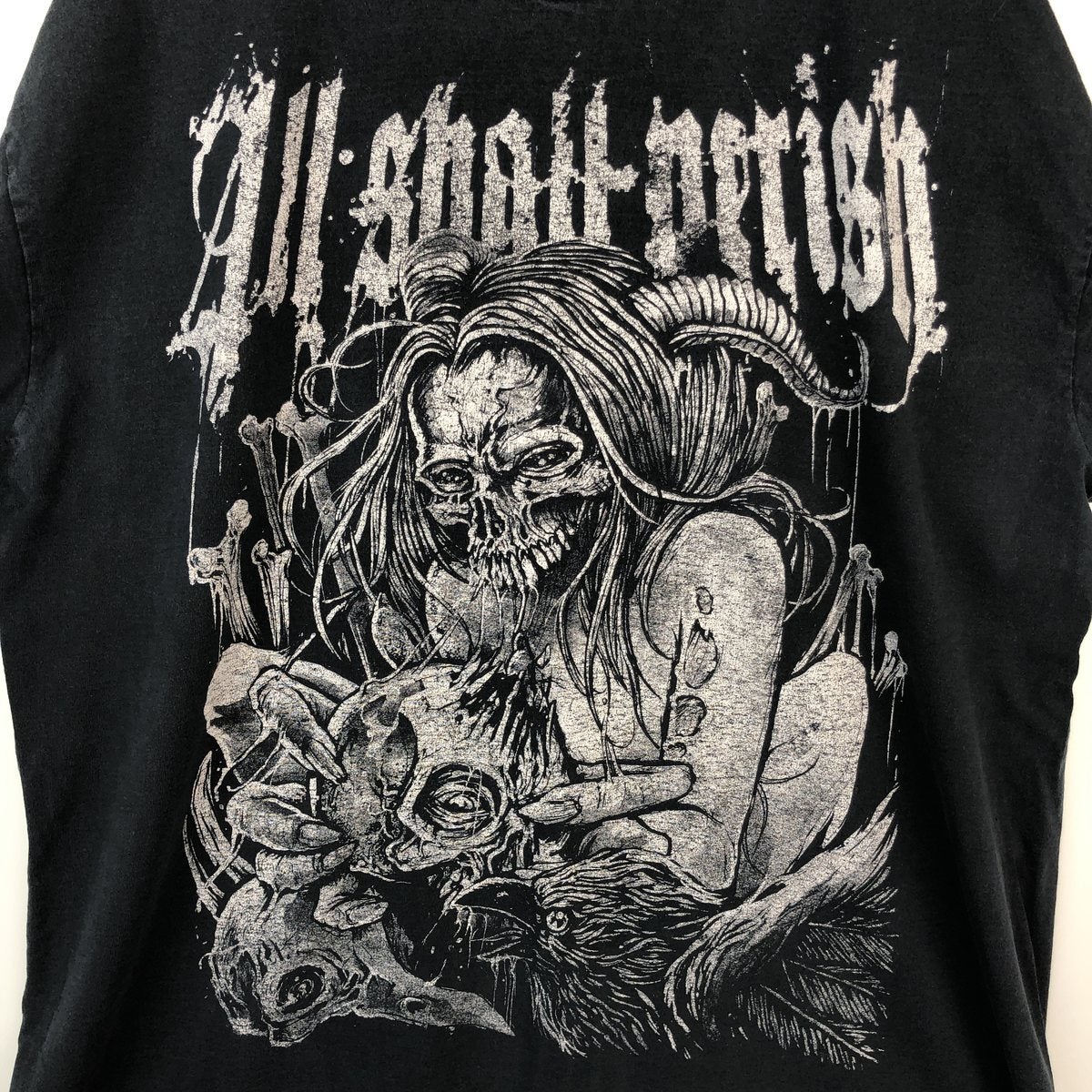 古着 フルーツオブザルーム FRUIT OF THE LOOM ALL SHALL PERISH