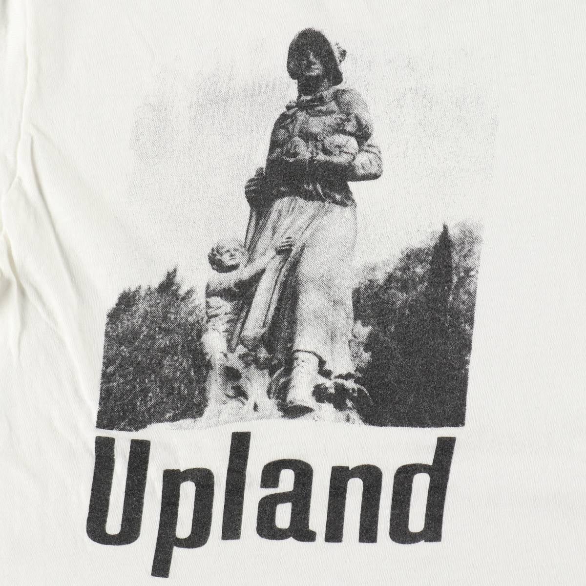 古着 70年代 ヘインズ Hanes 三角タグ プリントTシャツ USA製