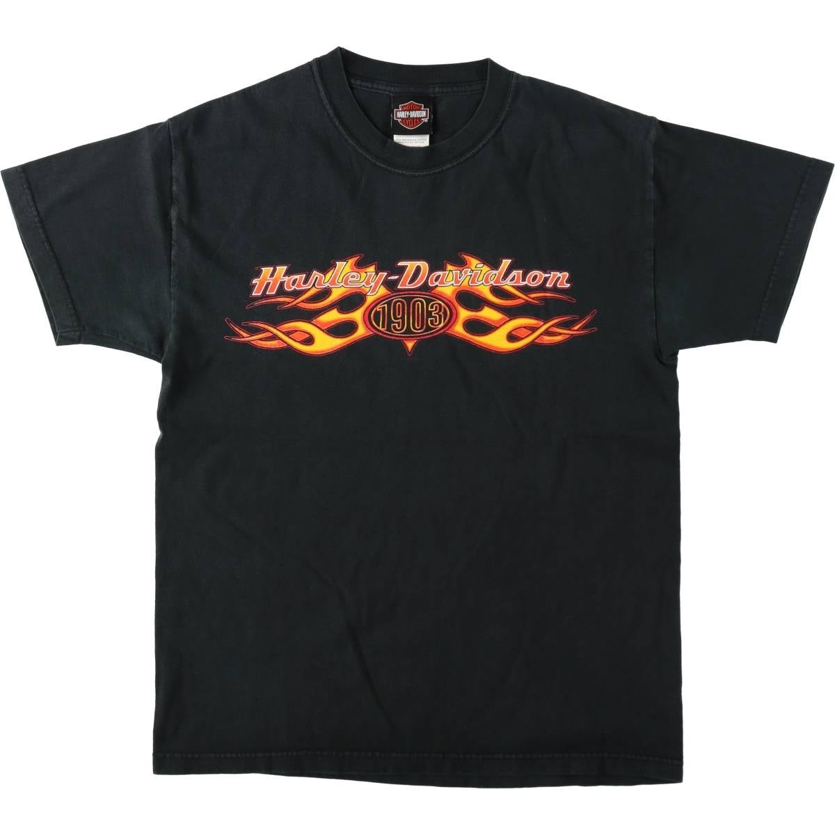 古着 90年代 ハーレーダビッドソン Harley-Davidson Hanes BEEFY-T