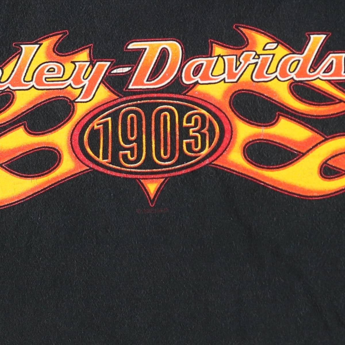 古着 00年代 ハーレーダビッドソン Harley-Davidson Hanes BEEFY-T