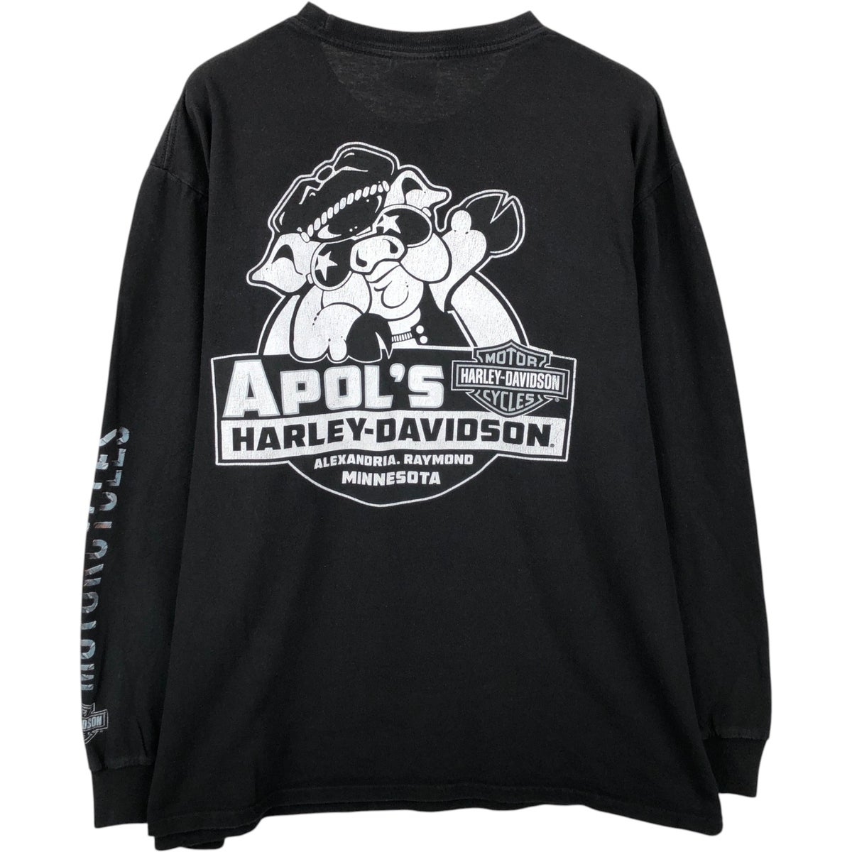 古着 ハーレーダビッドソン Harley-Davidson ロングTシャツ ロンT