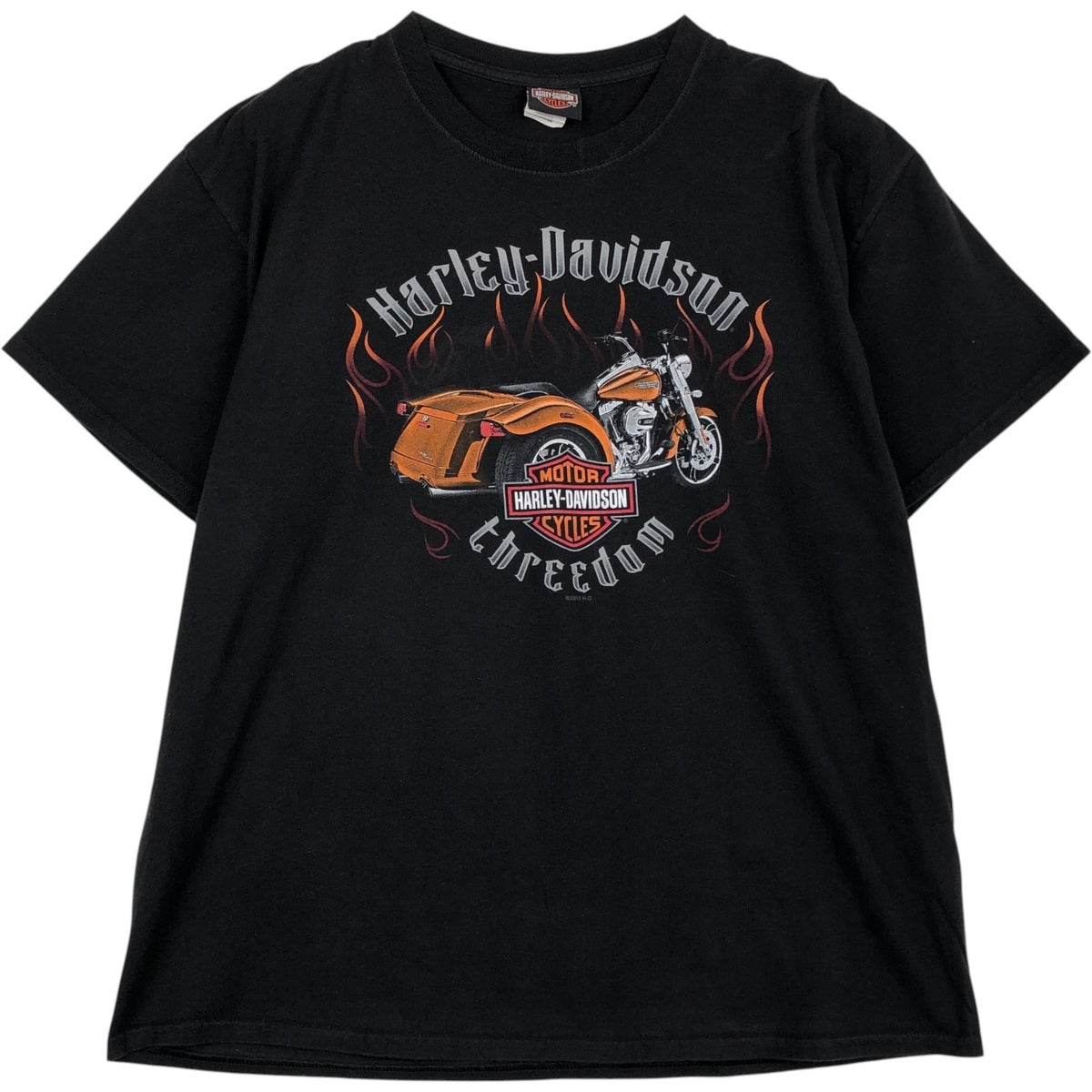 古着 ハーレーダビッドソン Harley-Davidson Hanes BEEFY-T ファイヤー