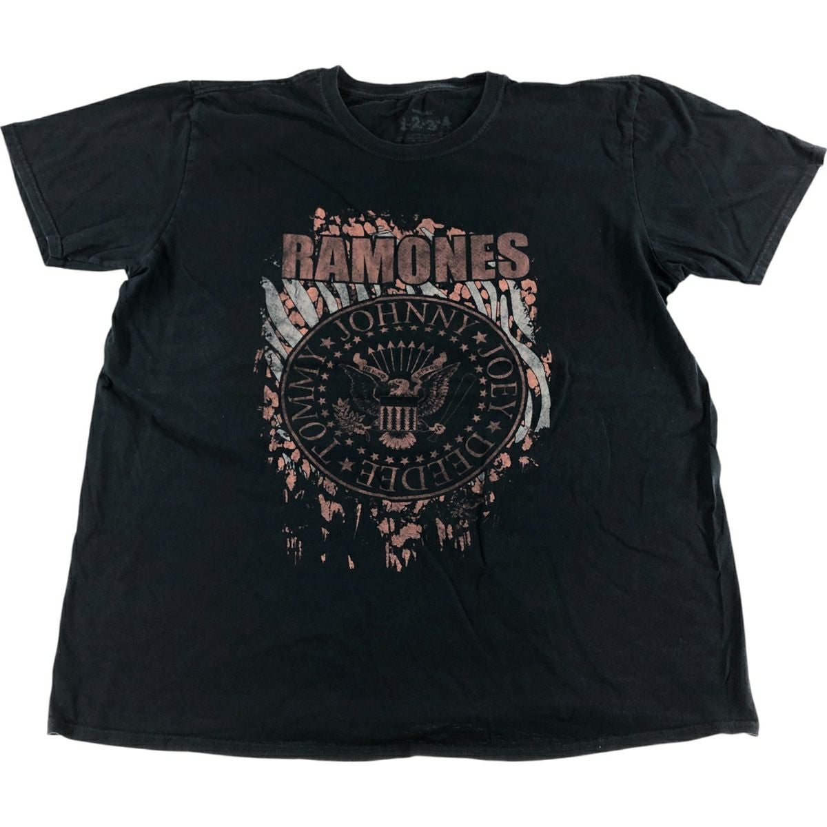 古着 CANVAS ED SHEERAN エドシーラン バンドTシャツ バンT メンズXL