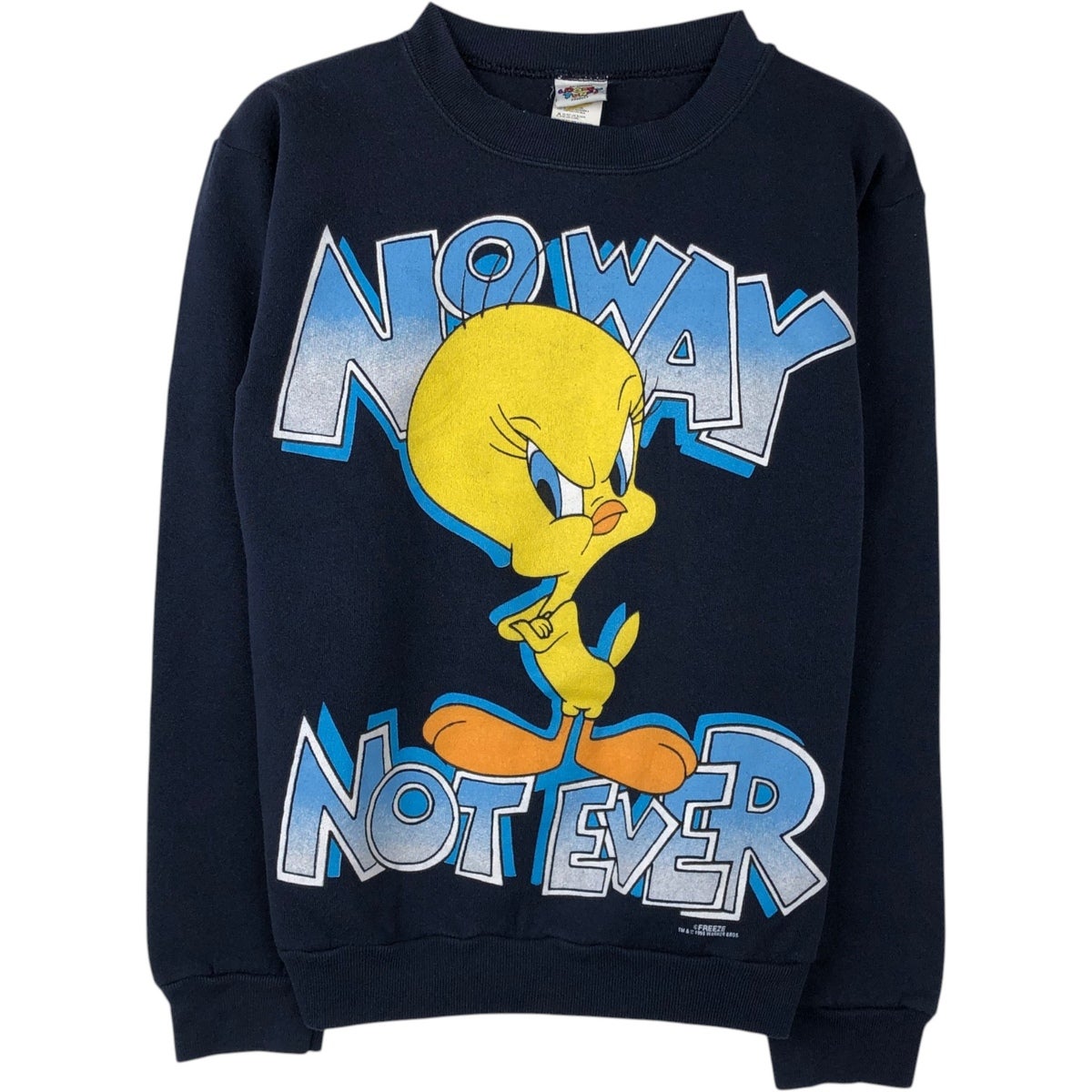 古着 90年代 SHERRY LOONEY TUNES ルーニーテューンズ DAFFY DUCK ダフィーダック キャラクタープリントTシャツ レディースS相当 ヴィンテージ /eaa575763 古着 90年代 SHERRY LOONEY TUNES ルーニーテューンズ DAFFY DUCK