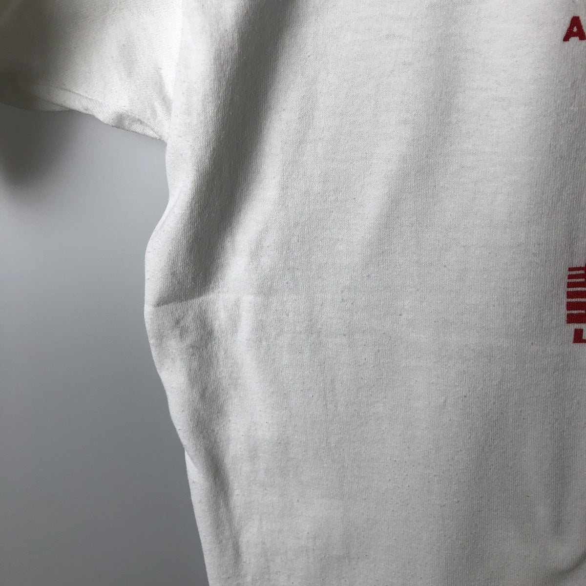古着 90年代 ヘインズ Hanes HEAVYWEIGHT 50/50 カレッジTシャツ USA製
