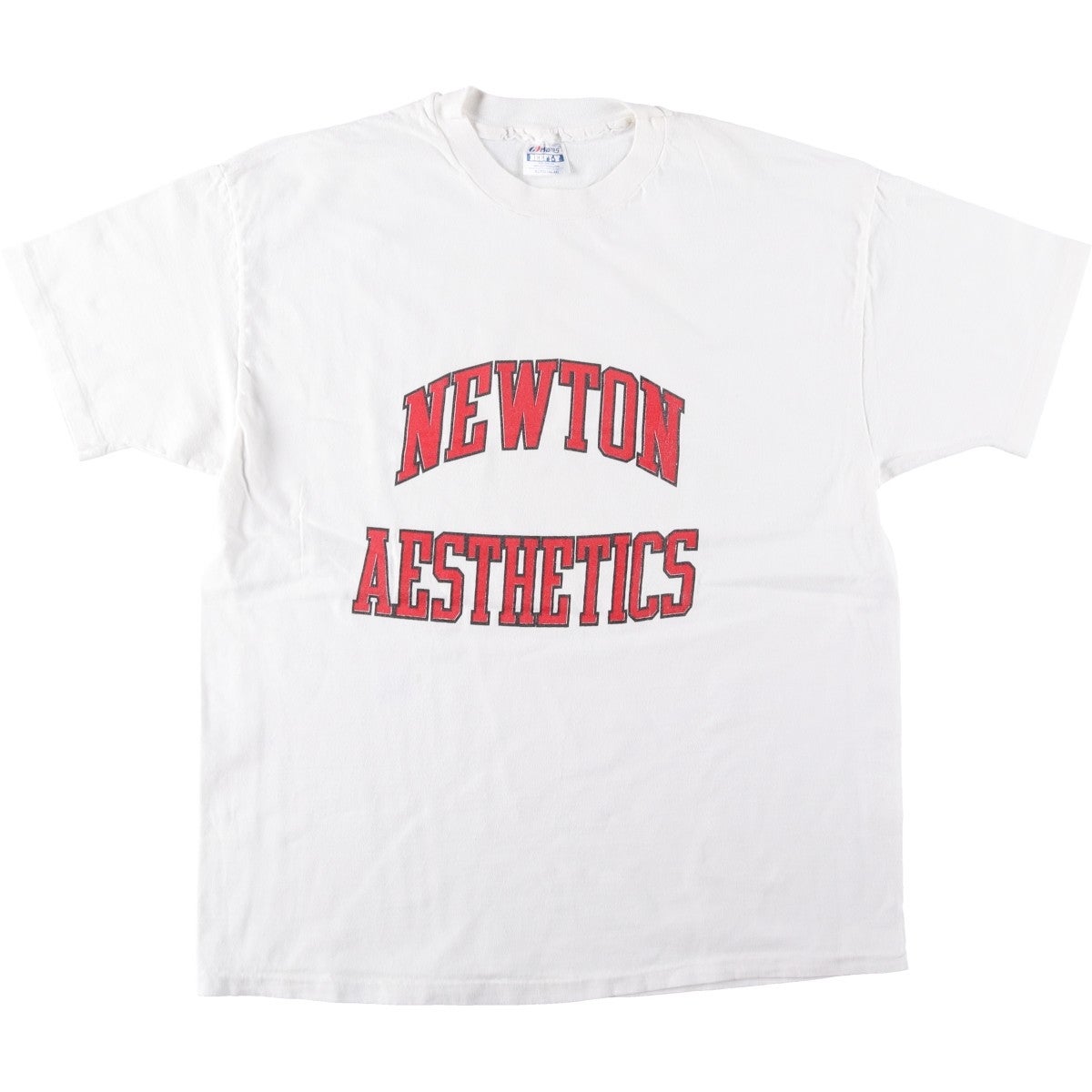 古着 90年代 ヘインズ Hanes BEEFY-T プリントTシャツ USA製 メンズXL