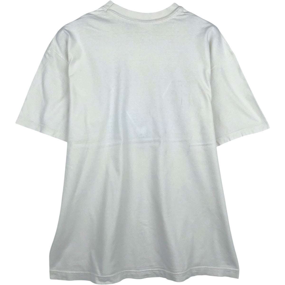 古着 90年代 ヘインズ Hanes HEAVYWEIGHT アートTシャツ メンズXL相当