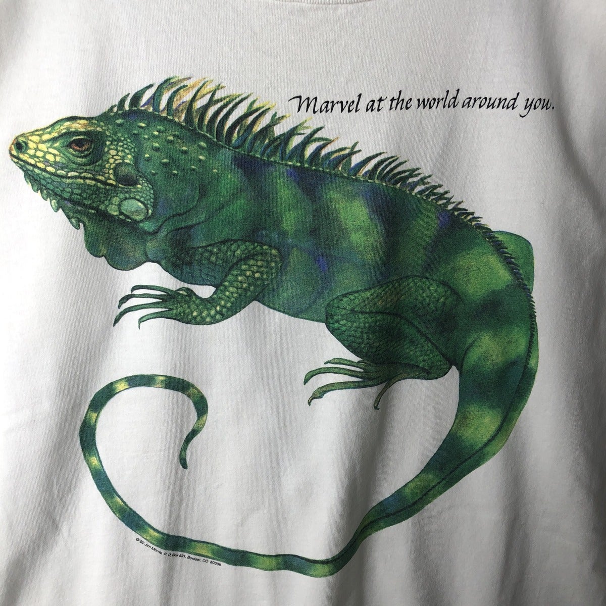 古着 90年代 JIM MORRIS イグアナ柄 アニマルTシャツ USA製 メンズXL