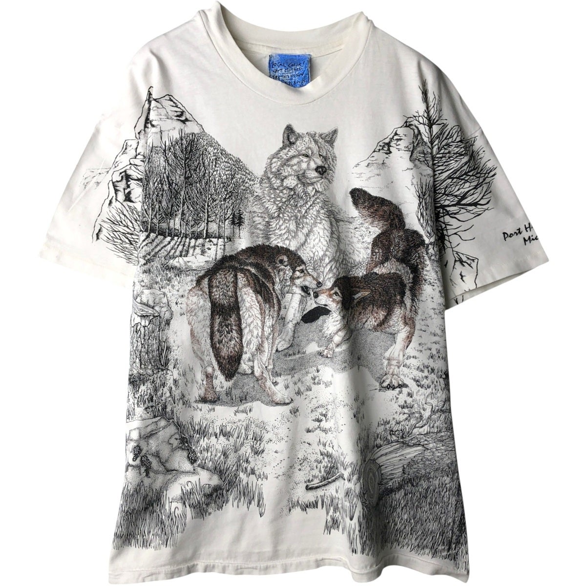 古着 90年代 ヘインズ Hanes BEEFY-T ネコ柄 アニマル柄 アニマルTシャツ USA製 レディースL相当 ヴィンテージ/eaa635579 古着 90年代 ヘインズ Hanes BEEFY-T ネコ柄 アニマル柄 アニマルT