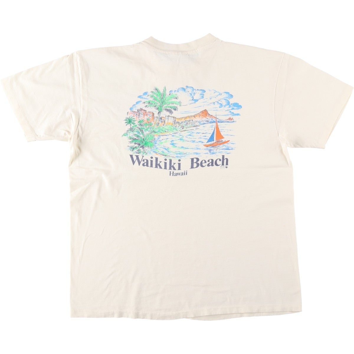 古着 80年代 ヘインズ Hanes BEEFY-T 青タグ プリントTシャツ USA製