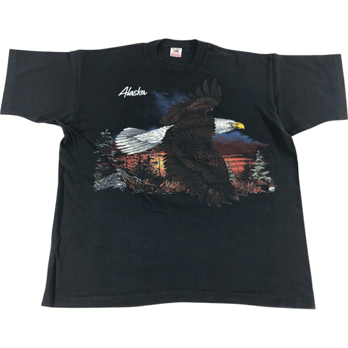 古着 90年代 フルーツオブザルーム FRUIT OF THE LOOM 鷲柄 イーグル柄