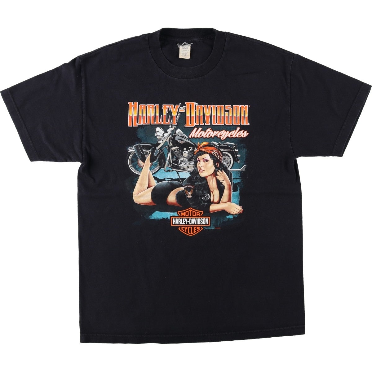 古着 ハーレーダビッドソン Harley-Davidson ピンナップガール