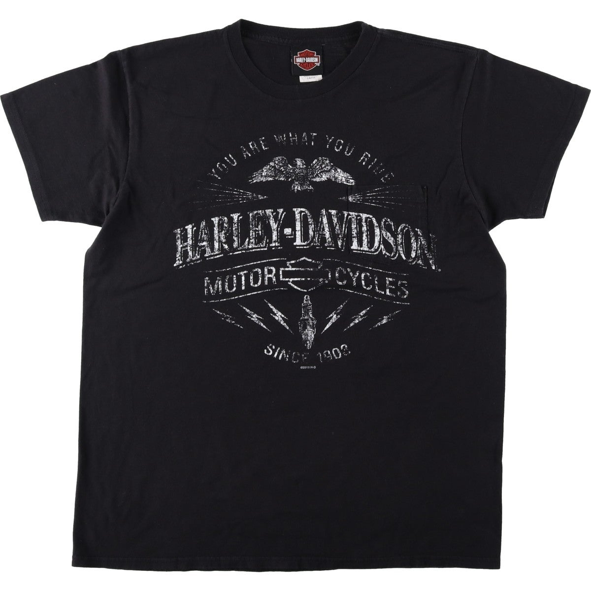 古着 ハーレーダビッドソン Harley-Davidson ピンナップガール