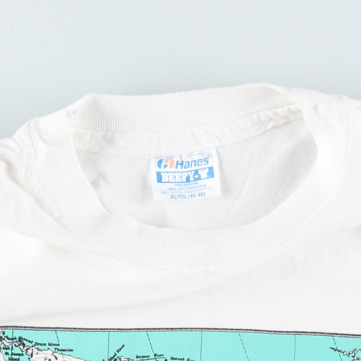古着 90年代 ヘインズ Hanes BEEFY-T プリントTシャツ USA製 メンズXL