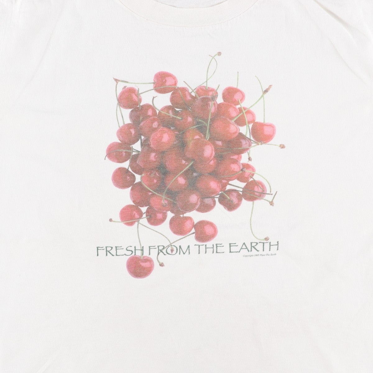 古着 90年代 PLANT THE EARTH プリントTシャツ USA製 メンズL相当