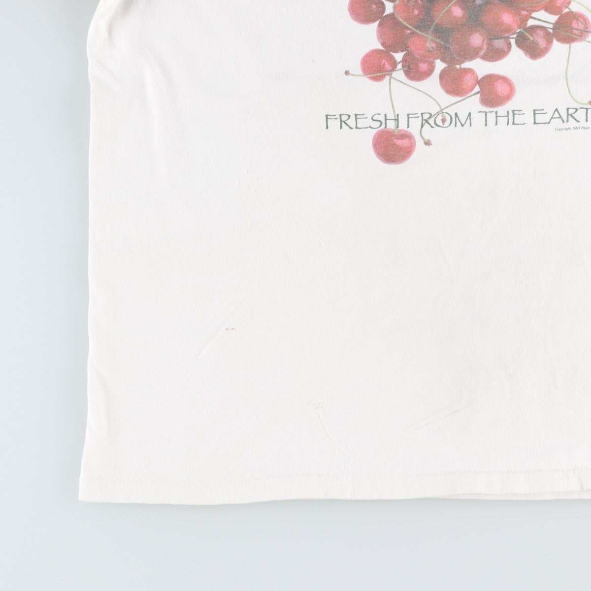 古着 90年代 PLANT THE EARTH プリントTシャツ USA製 メンズL相当