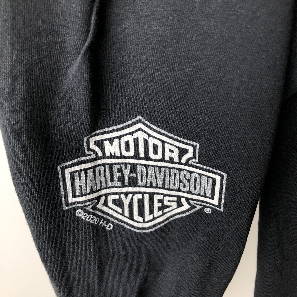 古着 ハーレーダビッドソン Harley-Davidson ロングTシャツ ロンT