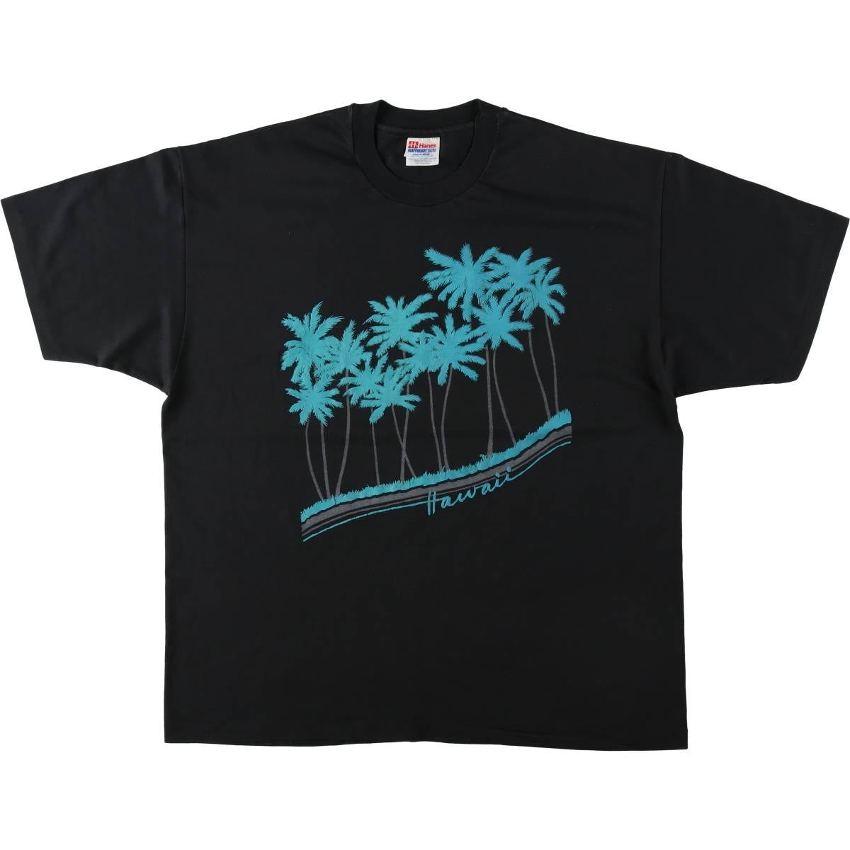 古着 90年代 ヘインズ Hanes スーベニアTシャツ メンズXL相当
