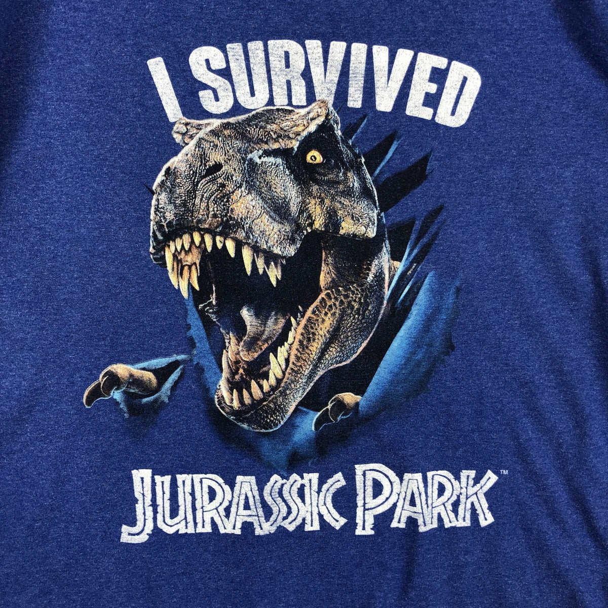 古着 JURASSIC PARK ジュラシックパーク 映画 ムービーTシャツ メンズ