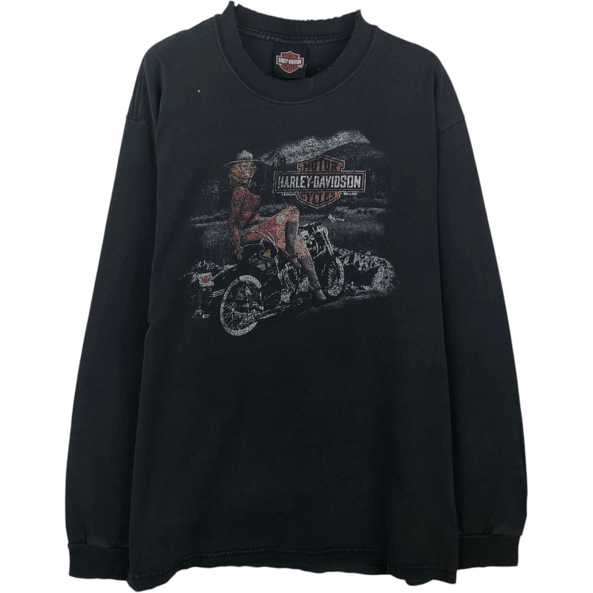 古着 ハーレーダビッドソン Harley-Davidson ピンナップガール