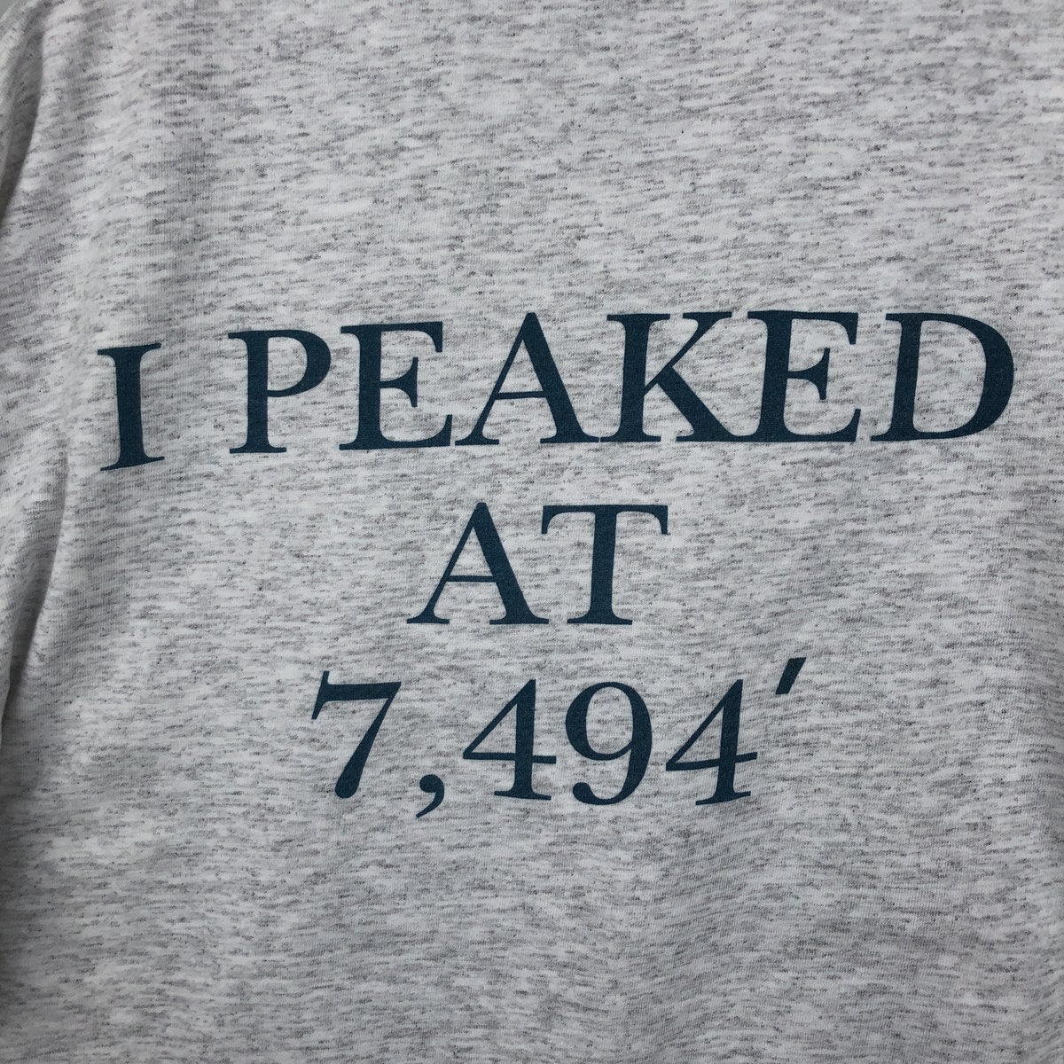 古着 90年代 ギルダン GILDAN プリントTシャツ カナダ製 メンズXL相当