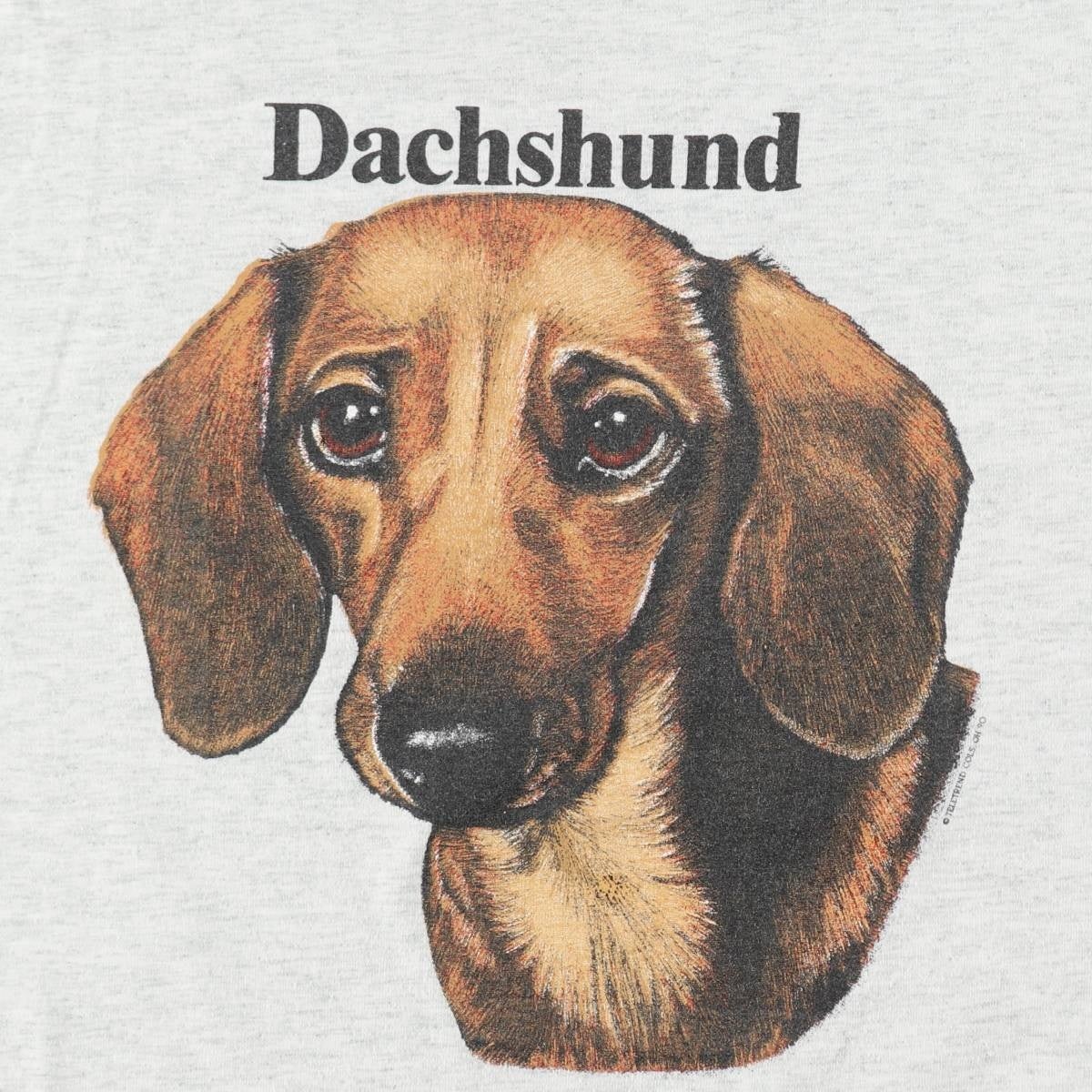 古着 90年代 スクリーンスターズ SCREEN STARS BEST DACHSHUND
