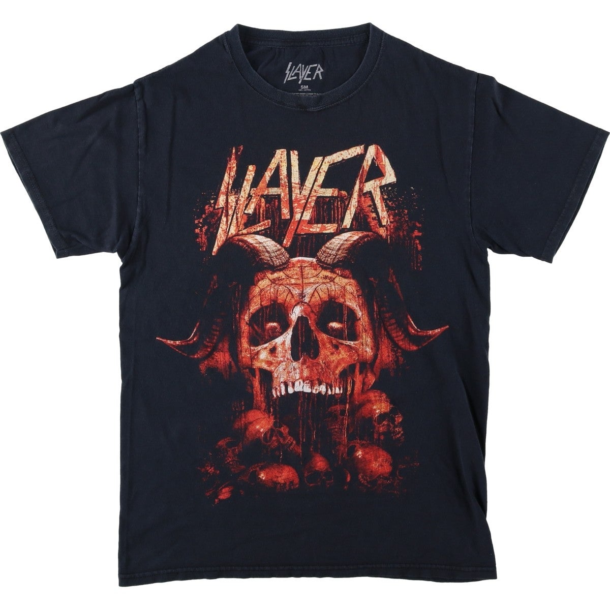 古着 SLAYER スレイヤー バンドTシャツ バンT メンズXL相当 /eaa651427