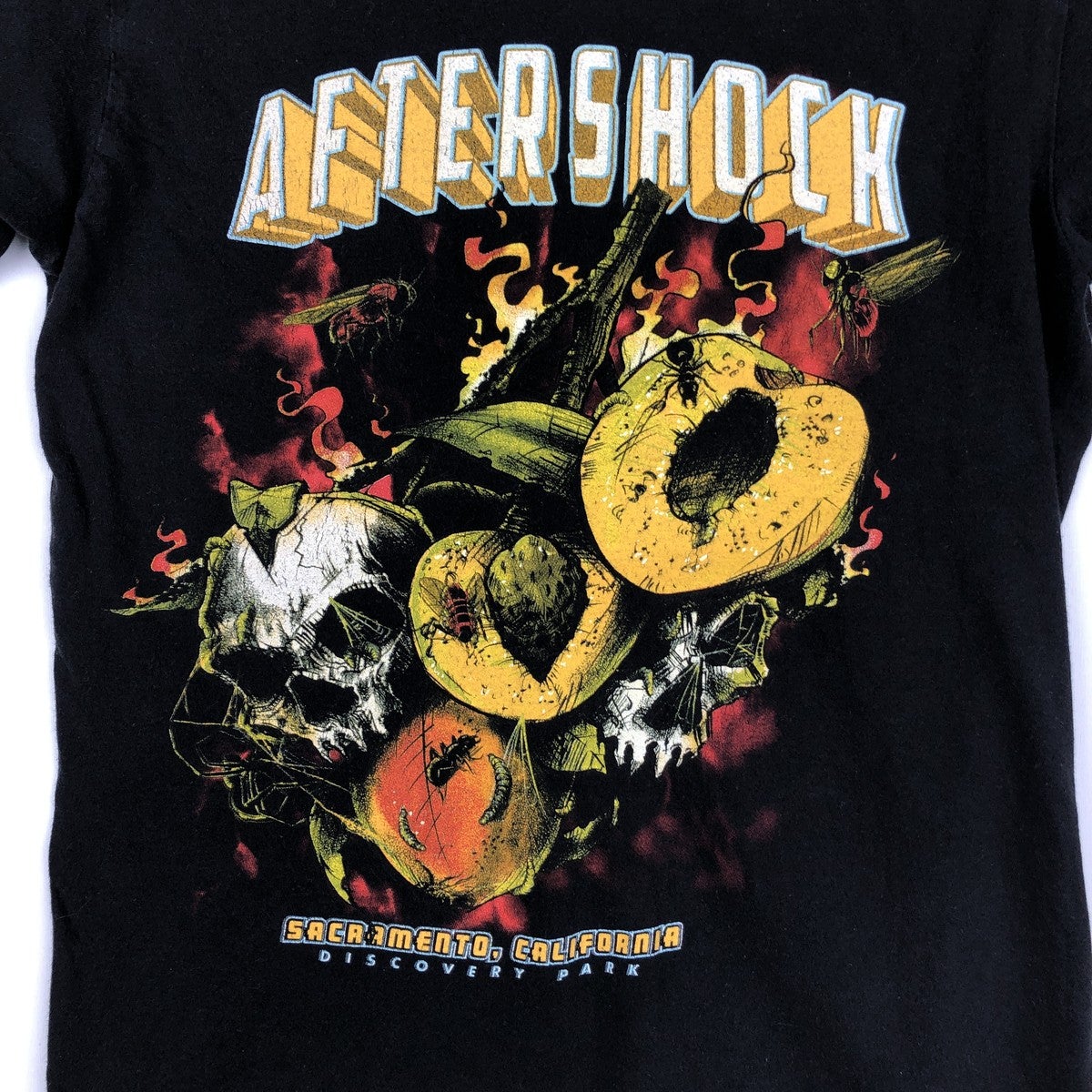 古着 SOCAL AFTERSHOCK FESTIVAL ドクロ柄 スカル柄 バンドTシャツ