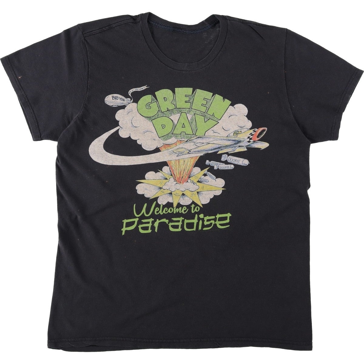 古着 Green Day グリーンデイ バンドTシャツ バンT メンズS相当