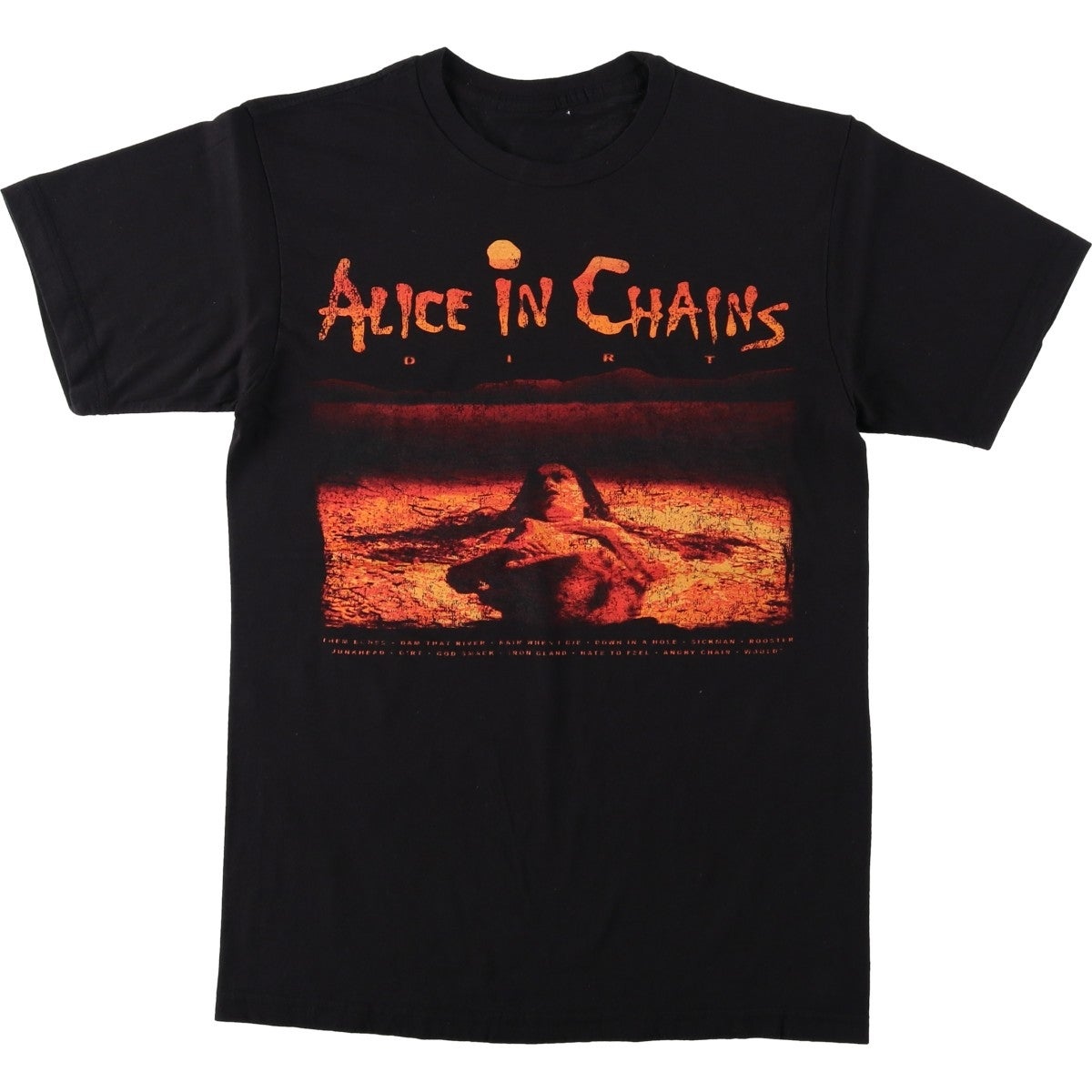 古着 ALICE IN CHAINS アリスインチェインズ バンドTシャツ バンT