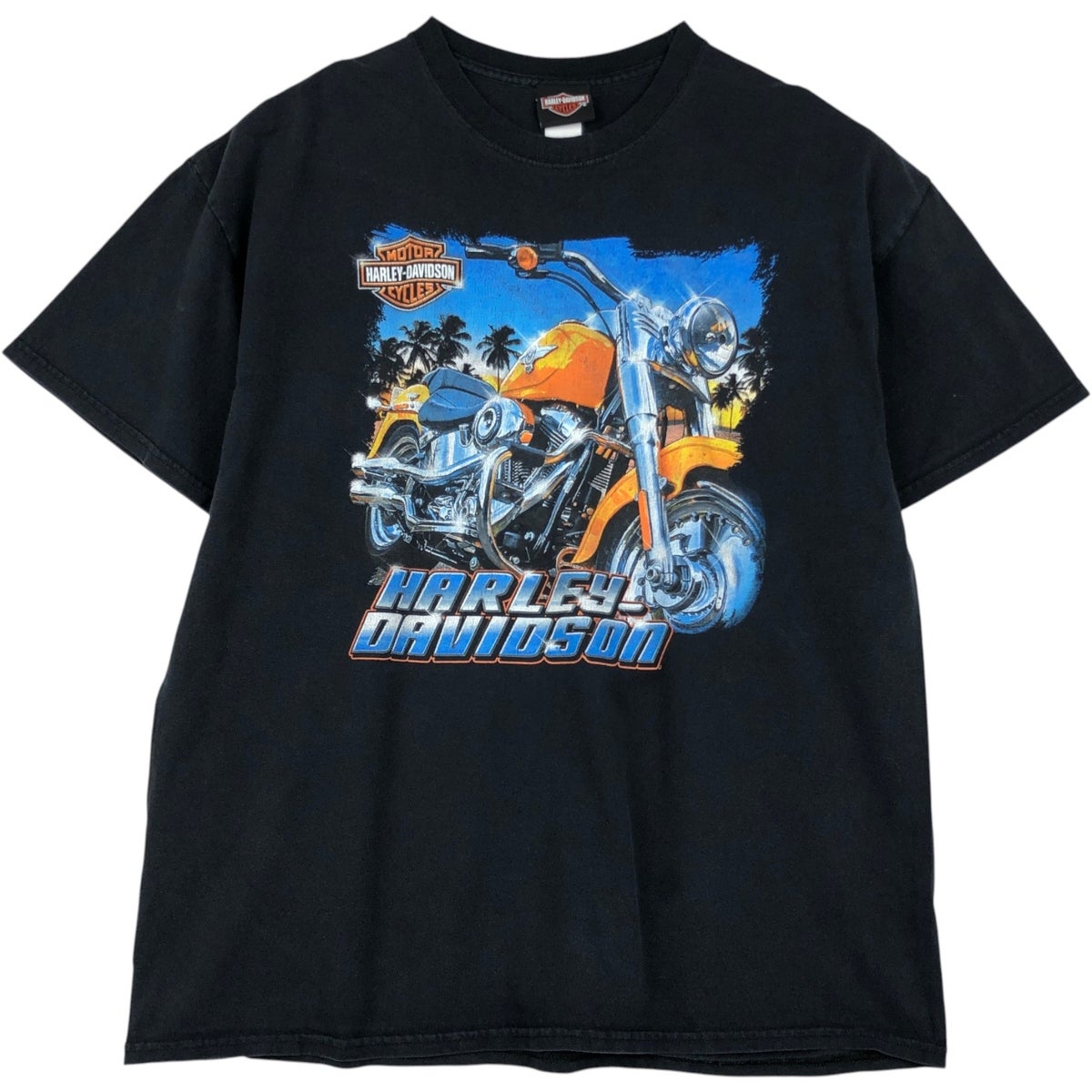 古着 ハーレーダビッドソン Harley-Davidson モーターサイクル バイクT