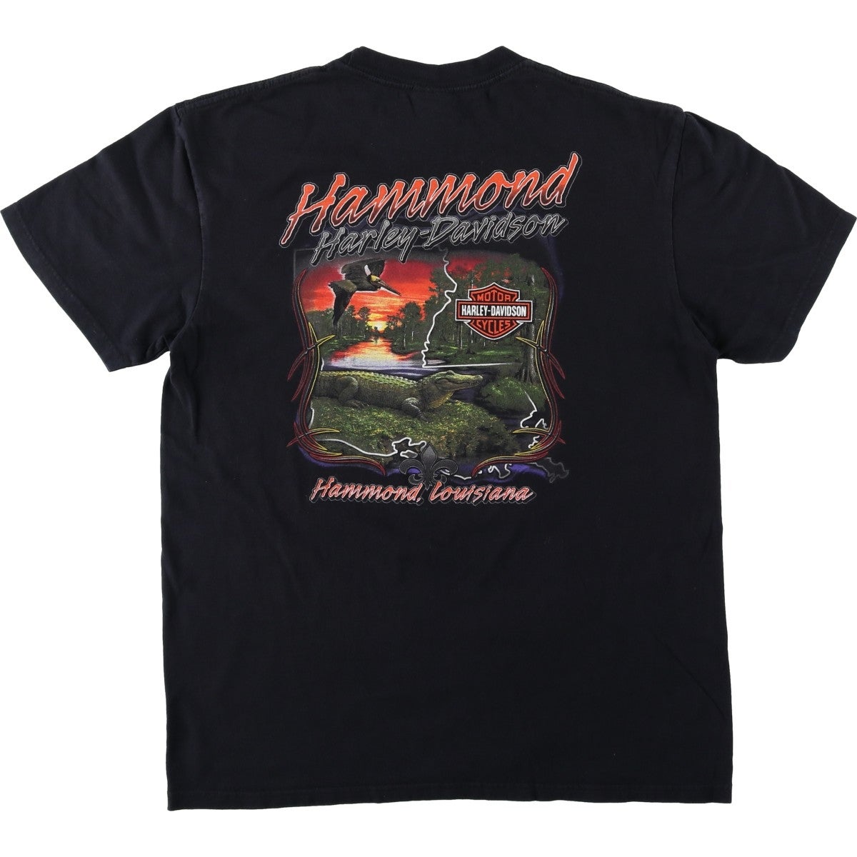 古着 00年代 ハーレーダビッドソン Harley-Davidson ピンナップガール