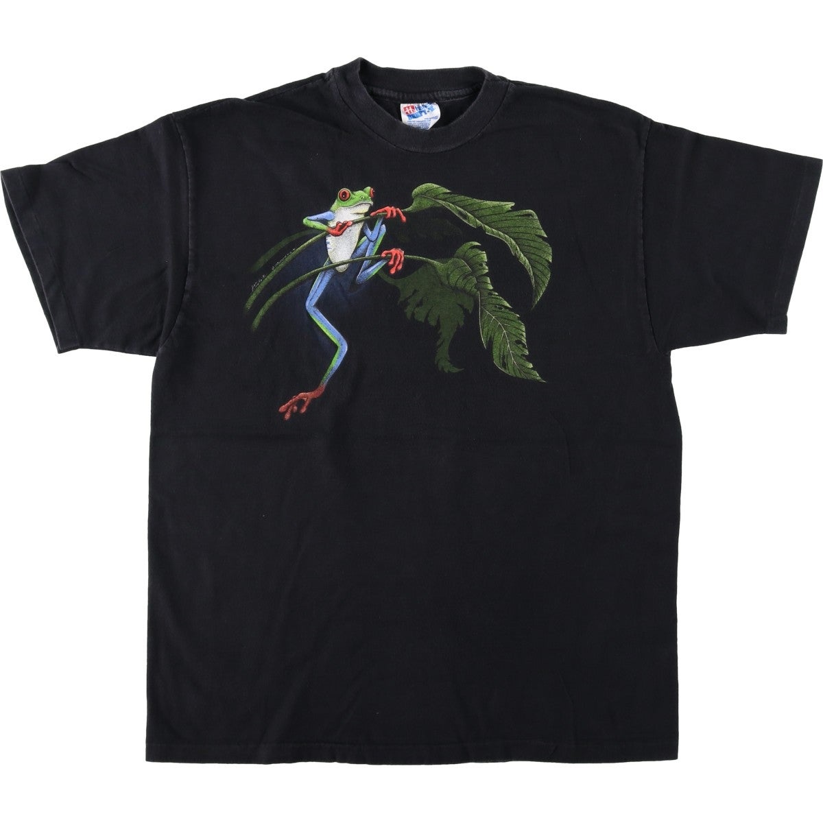 古着 90年代 ヘインズ Hanes BEEFY-T カエル柄 アニマルTシャツ USA製