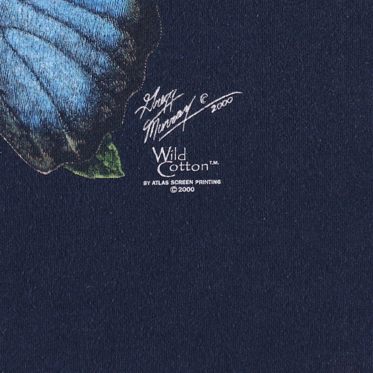 古着 00年代 Wild Cotton 蝶柄 アニマルTシャツ USA製 メンズXXL相当