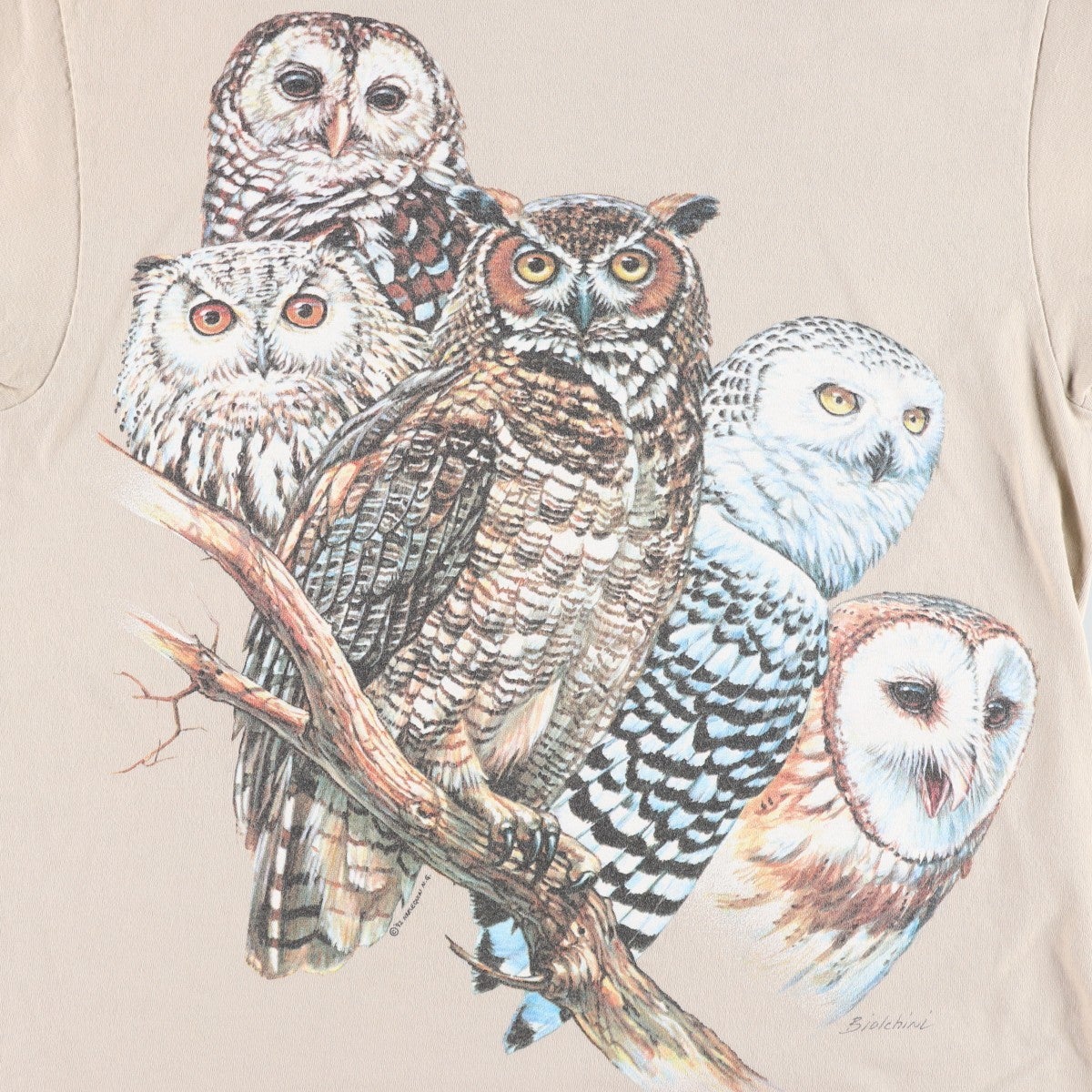 古着 90年代 TURNER Originals フクロウ柄 アニマルTシャツ USA製