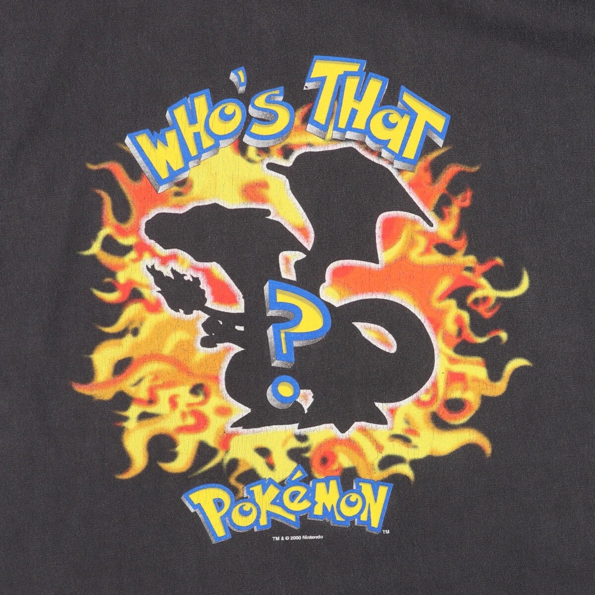 古着 00年代 POKEMON ポケモン リザードン キャラクタープリントT