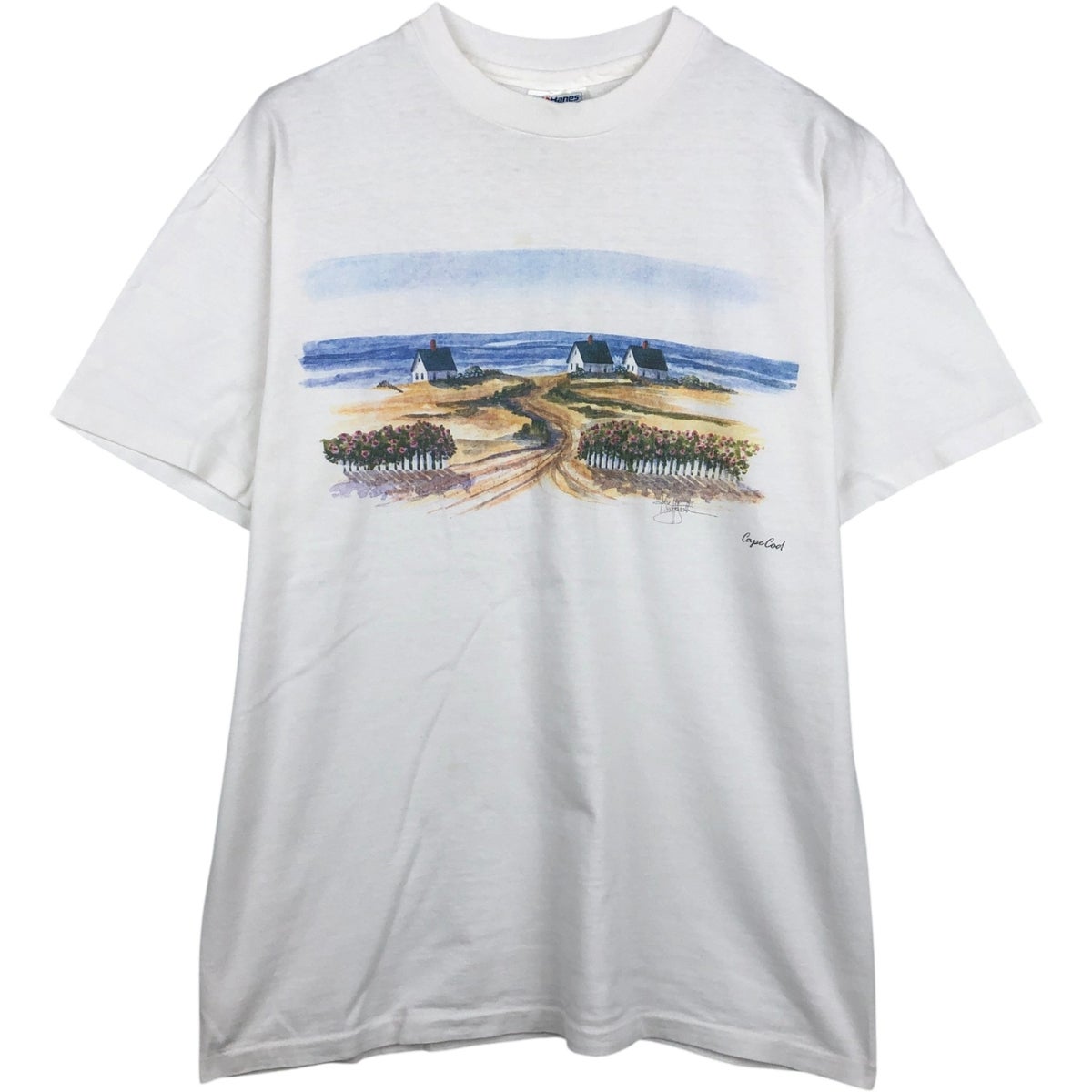 古着 90年代 ヘインズ Hanes BEEFY-T アートTシャツ USA製 メンズL相当