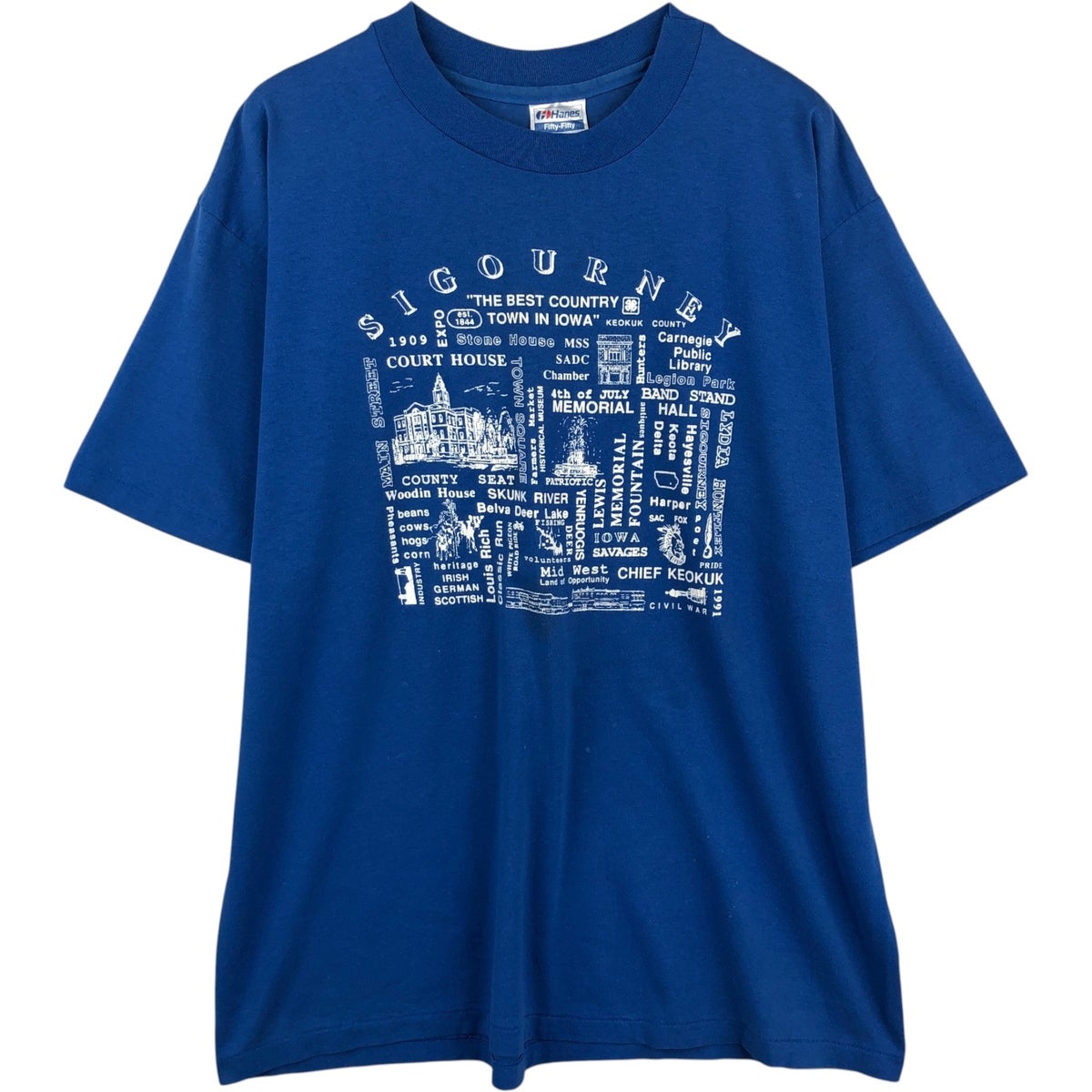 古着 80年代 ヘインズ Hanes Fifty-Fifty 青タグ スーベニアTシャツ