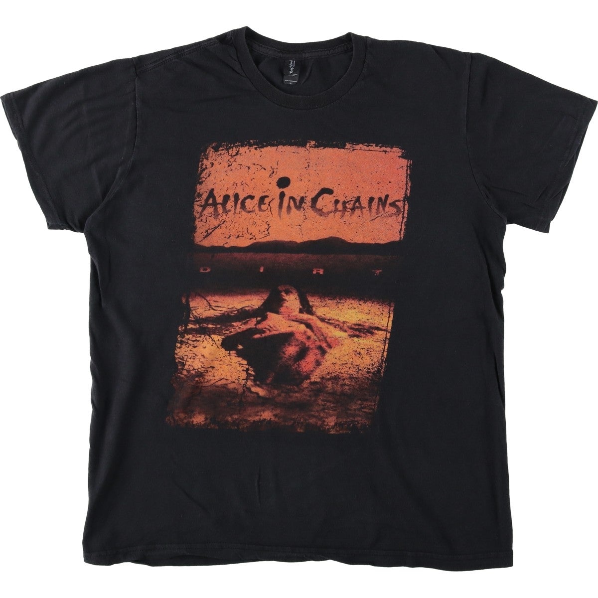 古着 ALICE IN CHAINS アリスインチェインズ バンドTシャツ バンT