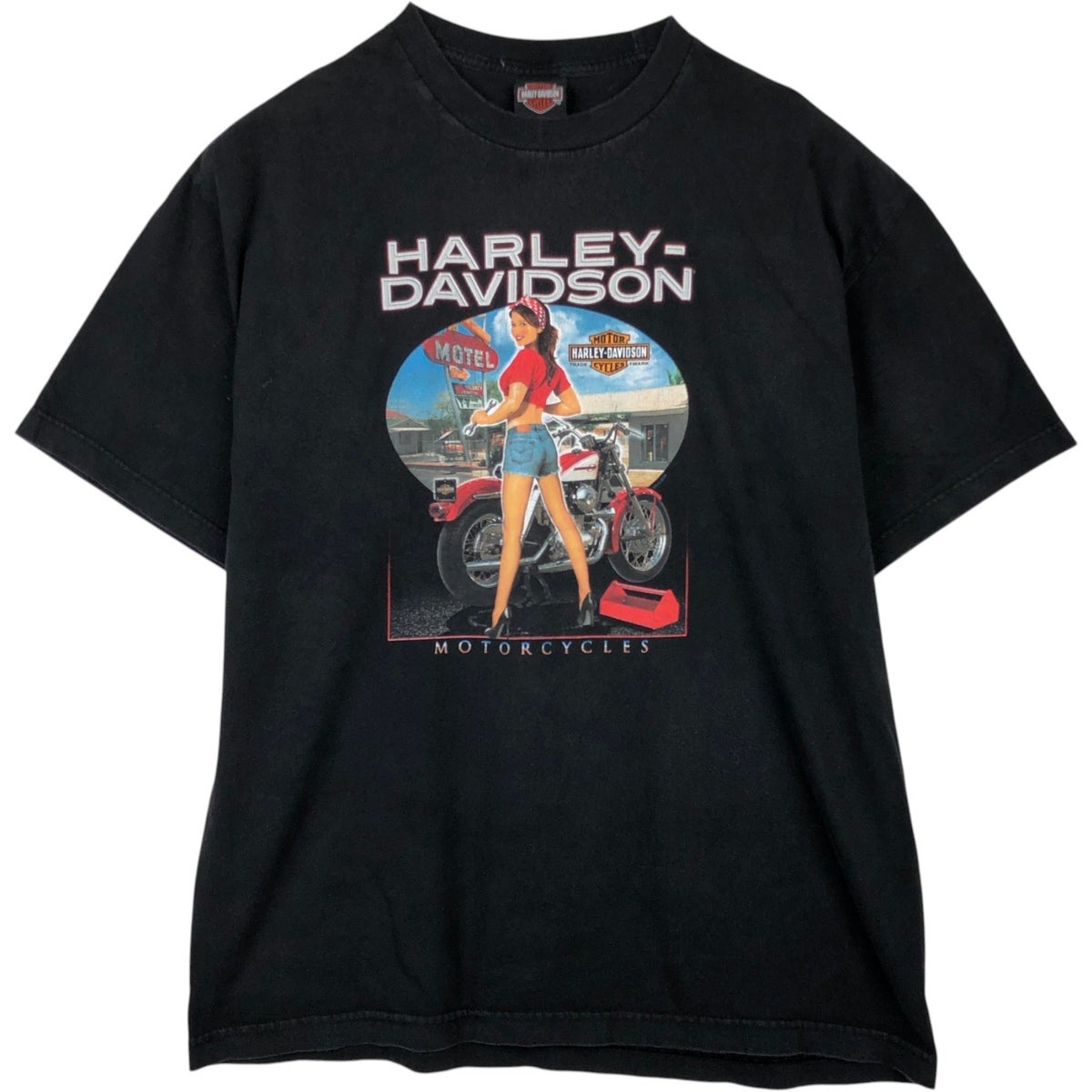 古着 ハーレーダビッドソン Harley-Davidson ピンナップガール