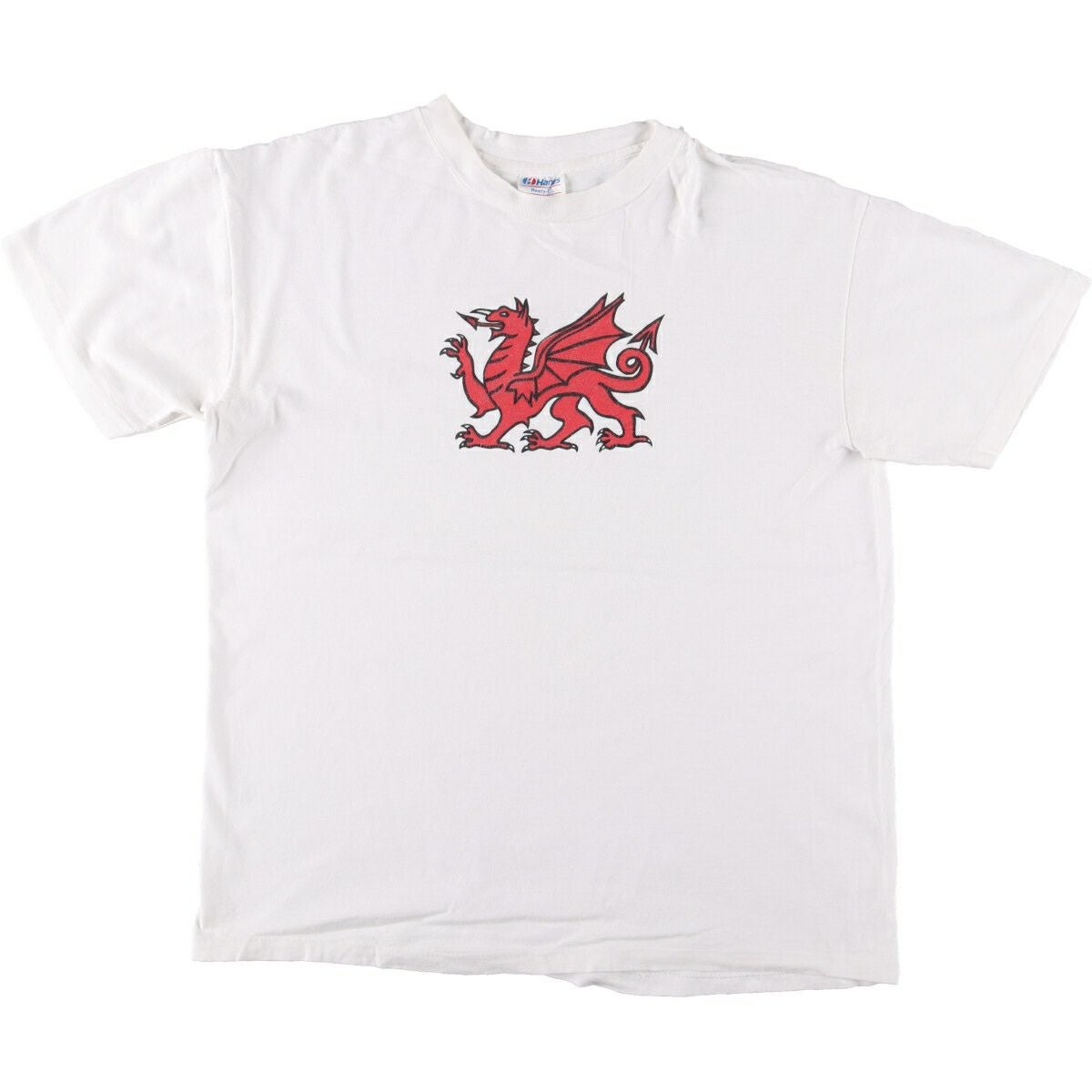 古着 90年代 ヘインズ Hanes BEEFY-T 青タグ 魚柄 アニマルTシャツ USA