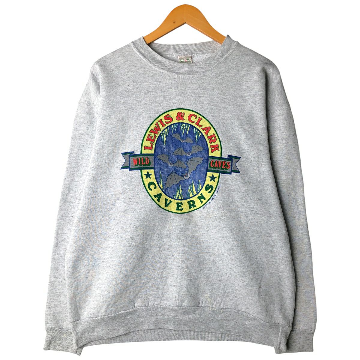 古着 80年代 Healthknit プリントスウェットシャツ トレーナー USA製