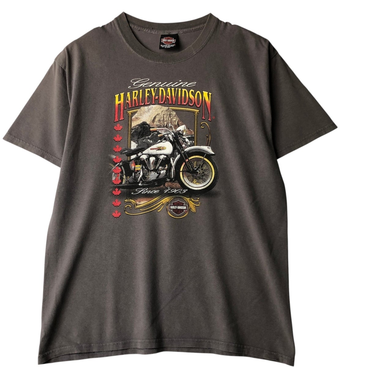 古着 00年代 ハーレーダビッドソン Harley-Davidson モーターサイクル