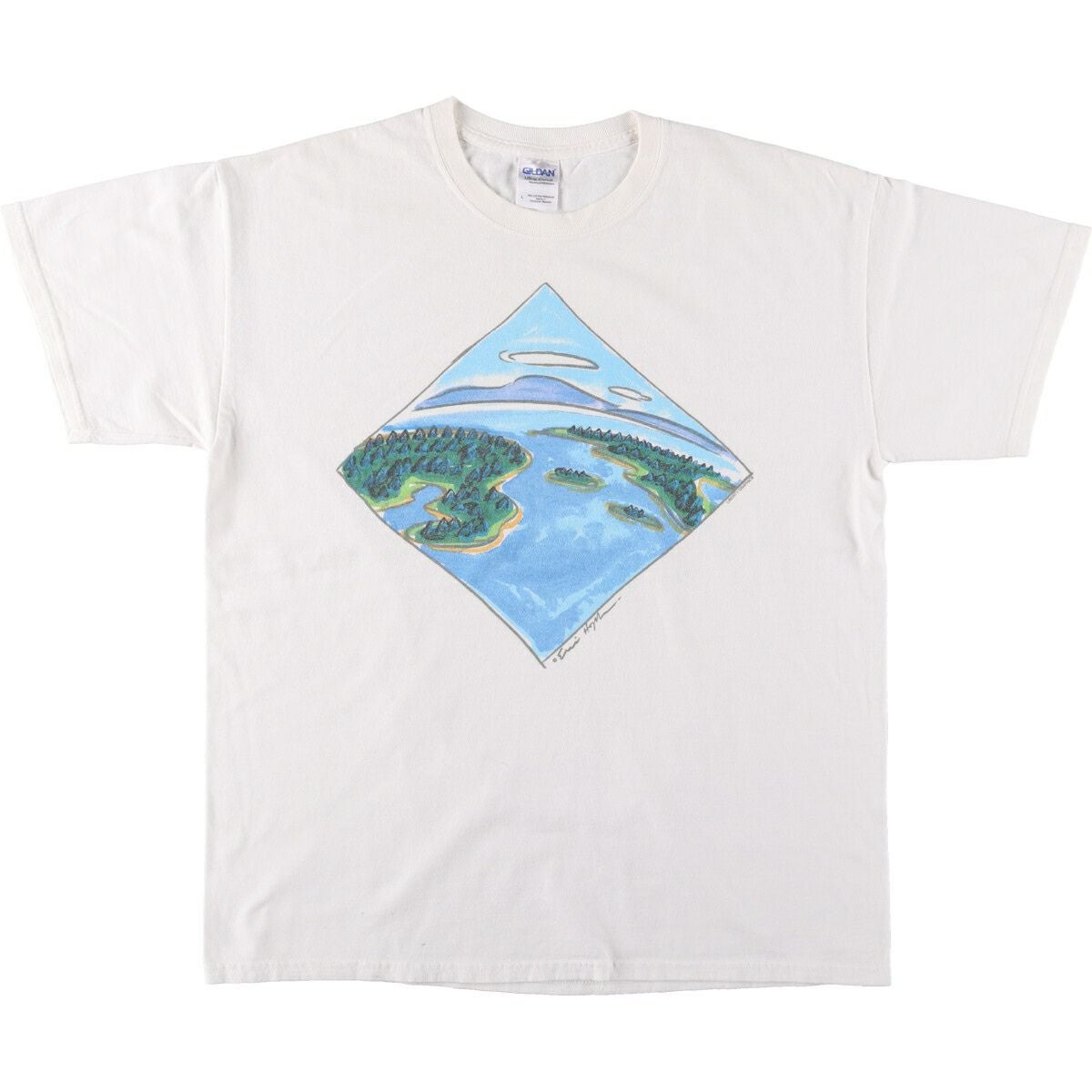 古着 ギルダン GILDAN VINCENT VAN GOGH ゴッホ ひまわり 花柄 アートTシャツ メンズS相当 /eaa574197 古着 ギルダン GILDAN VINCENT VAN GOGH ゴッホ ひまわり 花柄 アートT