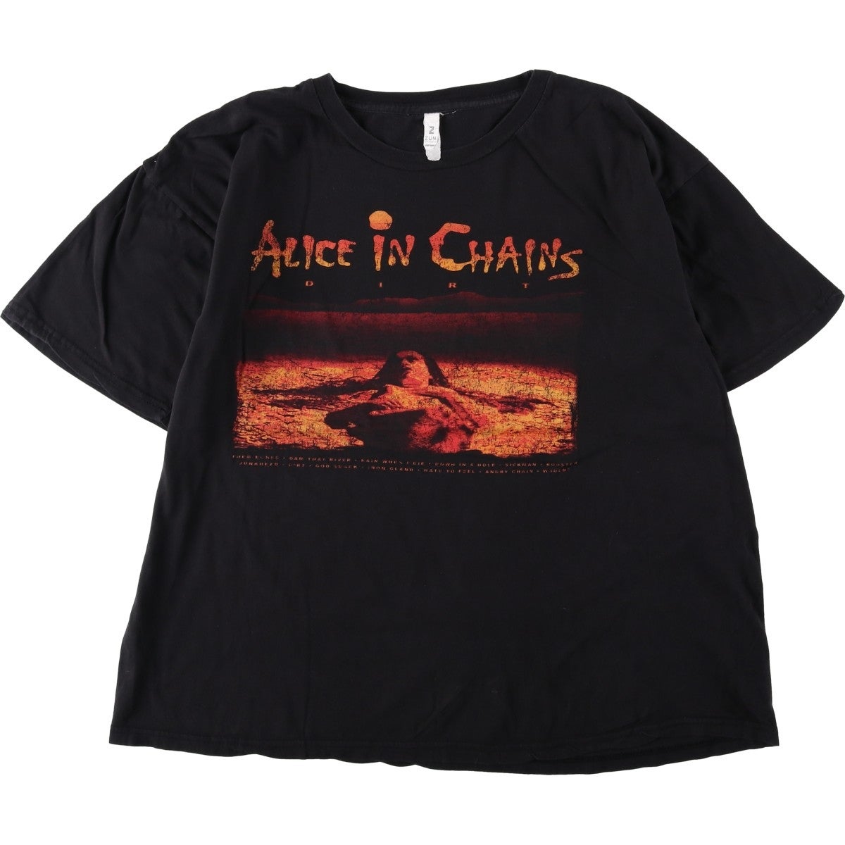 古着 ALICE IN CHAINS アリスインチェインズ バンドTシャツ バンT