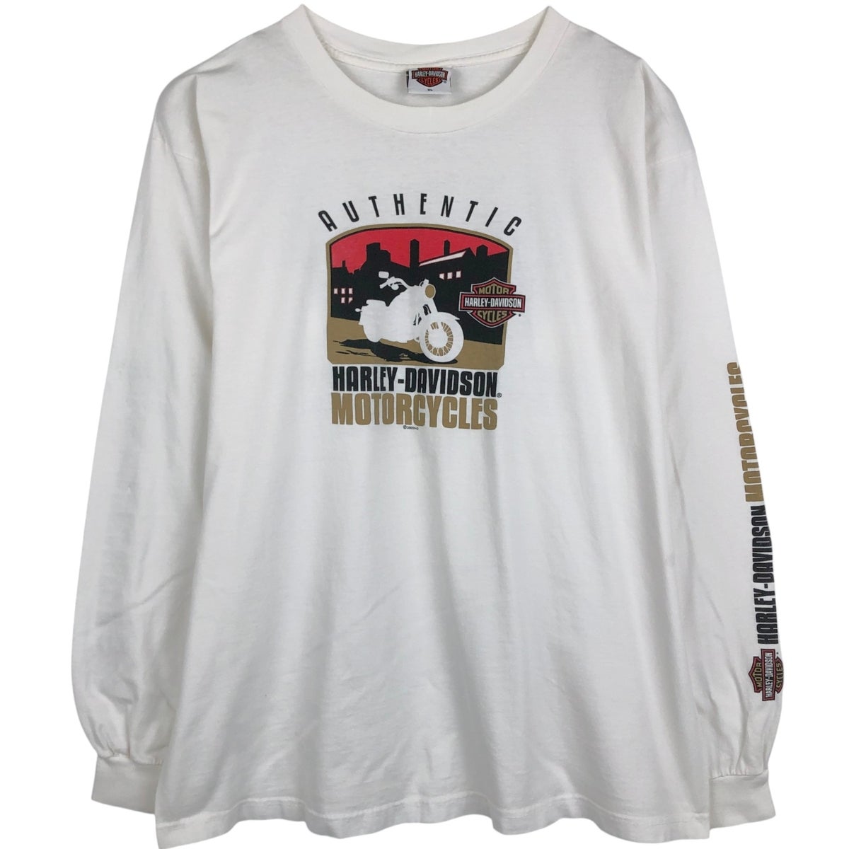 古着 00年代 ハーレーダビッドソン Harley-Davidson HOLOUBEK モーター