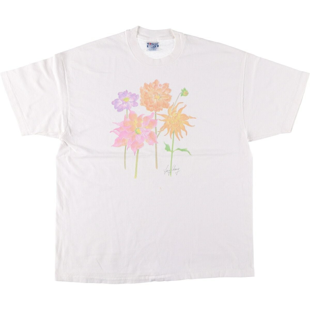 古着 90年代 ヘインズ Hanes BEEFY-T 青タグ 魚柄 アニマルTシャツ USA