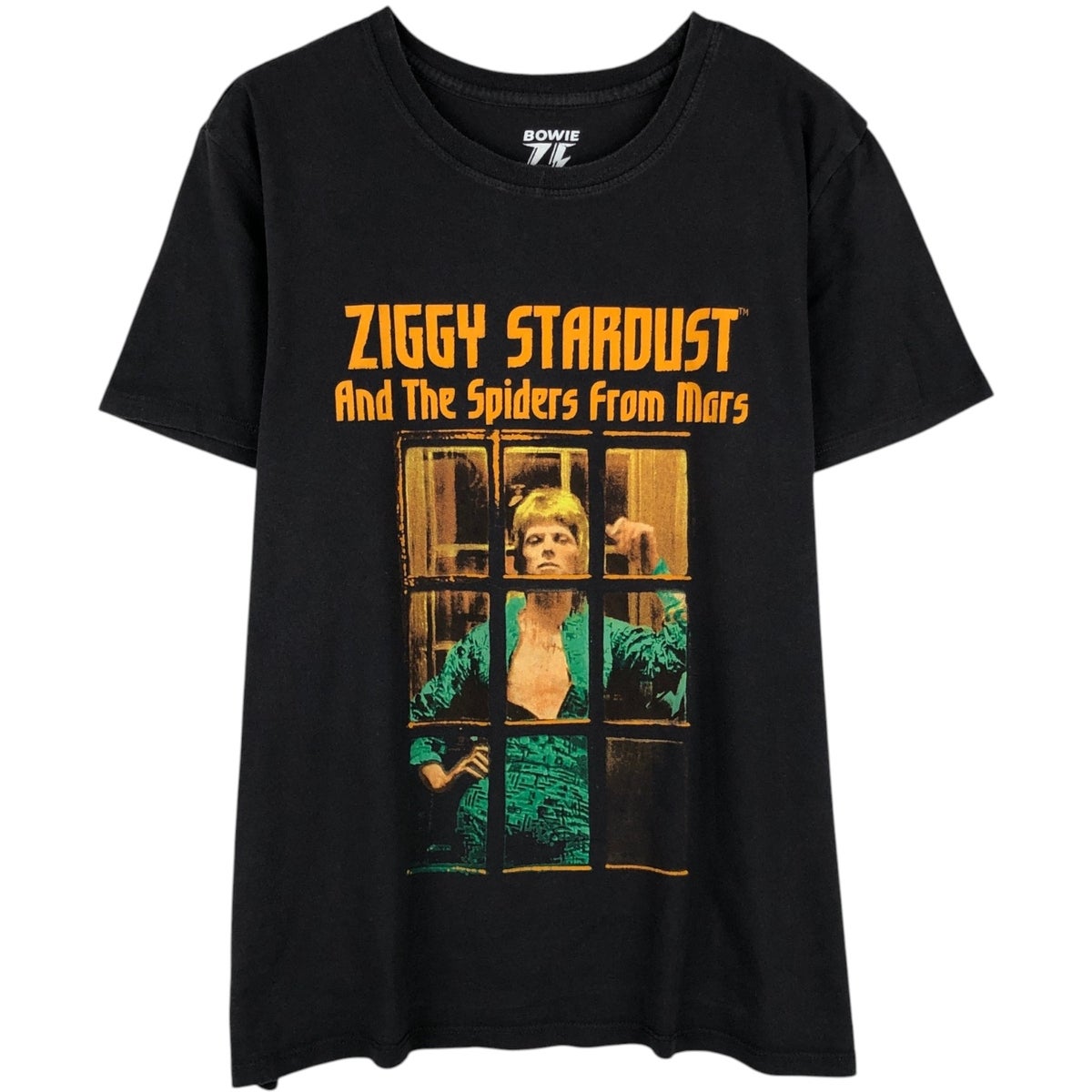 古着 DAVID BOWIE デヴィッドボウイ バンドTシャツ バンT メンズL相当